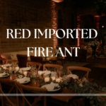 Red Imported Fire Ant